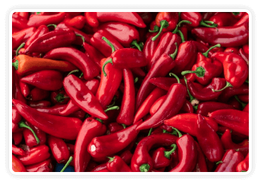 citrusburn ingredient - Andalusian Red Pepper