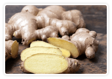 citrusburn ingredient - Himalayan Mountain Ginger