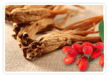 citrusburn ingredients- Berberine & Korean Red Ginseng